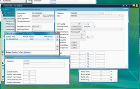 Allokáció felhasználás vevőrendelésen