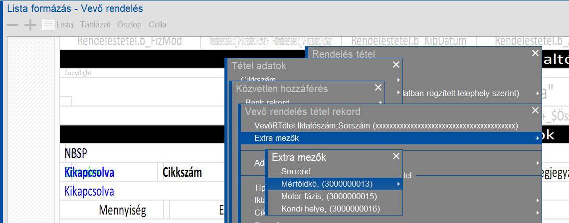 Listaformázóban az Extramező adatlap adatainak kiválasztása