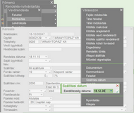 Extra mező a rendelésben