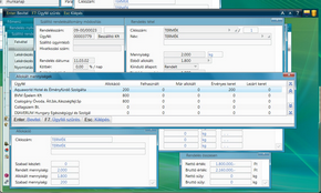Szállító-rendeléstétel allokáció