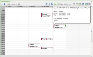 Részletes naptárnézet