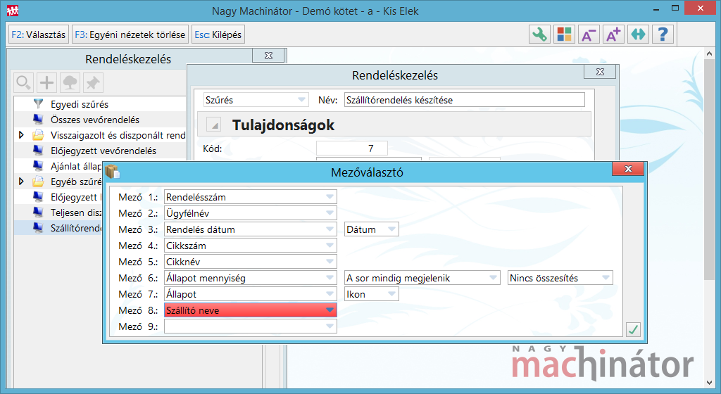 Mezőválasztó beállítása Fontos megadni a Cikkszám és a Szállító neve értékeket!