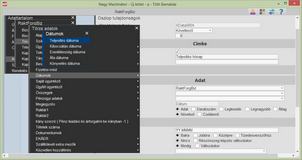 Szállítólevél dátumának megadása és picture beállítása