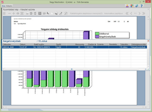 Oszlop részletező táblázata