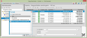 Saját listaforma bejelölése