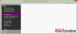 Számlakezelés a BIGMAC menüben