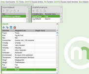 Betöltendő mezők megadása