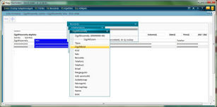 Ügyfélszemély szűrés adata