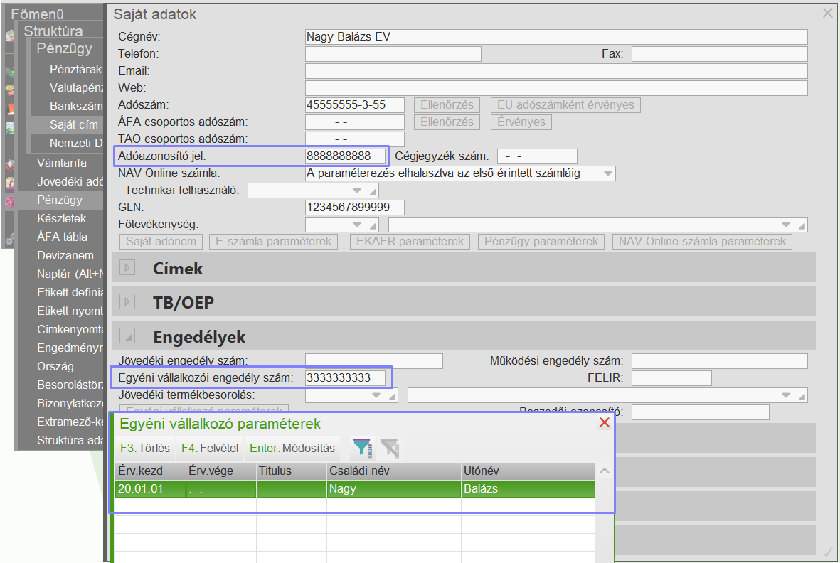 Egyéni vállalkozó paraméterek