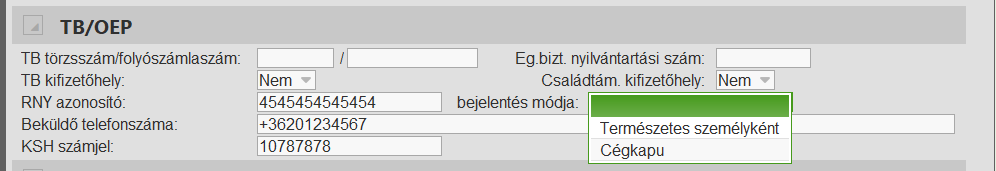 Struktúra / Sajátcím-ben megadható adatok