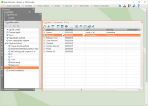 Ügyfél lekérdezés