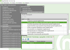 FEOR főcsoportonkénti létszámadat bevitel