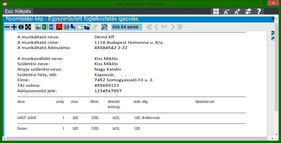 Egyszerűsített foglalkoztatás nyilvántartás