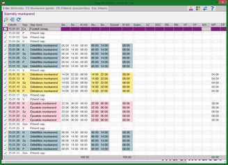 Januári munkarend havi adatban