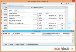 Szabadság kiadása részletező