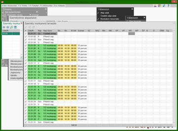 Munkarend tervezése személy törzsben