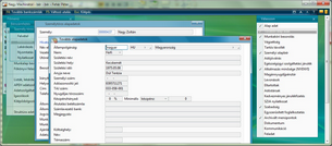 További alapadatok rögzítése