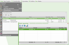 Pénzeszköz részletes egyenlege