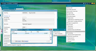 Adóalap-kiegészítés nyilatkozat megadás