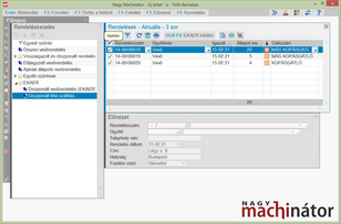 Szűrésnek megfelelő tételek megjelenítése az EKAER kitöltés funkcióval