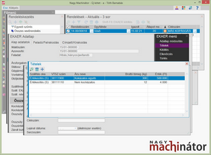 Többrendelésből generált EKÁER