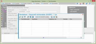 Ha nincs a rendelésen EKÁER tétel, akkor ez azi ablak jelenik meg