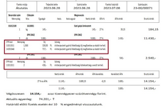 Cikkenként többféle részletes szöveg