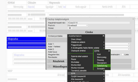 Tétel szöveg felrakása altáblába a számlaképre