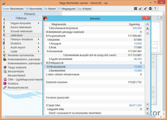 Főkönyvi lékérdezés