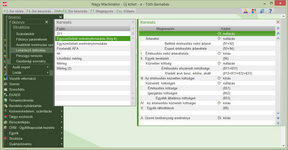 Főkönyvi lekérdező definíció