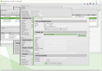 Goole cím megadása