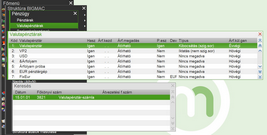 Valutapénztár törzs