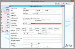 Fizetési mód megadása export számlában