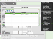 Helyettesítő cikkek megadása