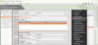 Szállító megadása a cikktörzsben
