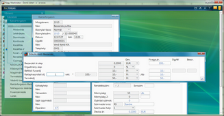 Előlkalkuláció tétel rögzítése
