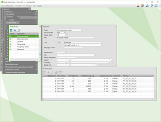 Tárhelyes raktár rögzítése
