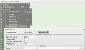 Számlanyomtatás a naplófőkönyvben