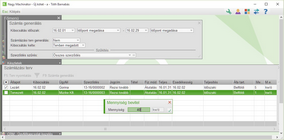 Mért adatok megadása