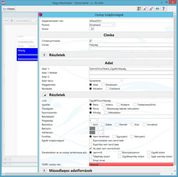 Oszlop tulajdonságokban az ODBC oszlop név megadása
