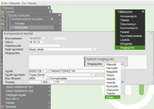 Megjegyzés megadás kompenzációhoz
