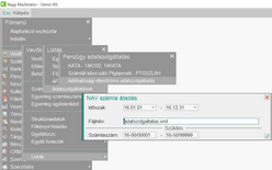 Adóhatósági ellenőrzési adatszolgáltatás