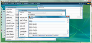 Cikkszám kontroll a vevőszámlázás során