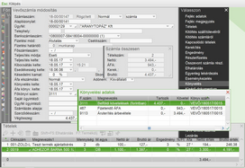 Számla könyvelés ablaka