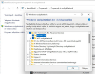 ASP .NET bekapcsolása