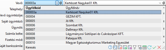 - Ügyfél keresés táblázat adatai -
