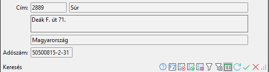 - Példa: Ügyfél keresés további adatai -