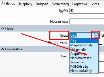 - Típus az ügyféltörzs bevitelben - 