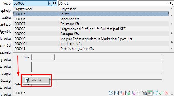 - Ügyfél keresés További adatok kezelése -